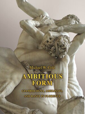 cover image of Ambitious Form